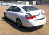 2013 Honda Accord - Collision Damage New White Accord Honda