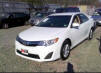 Toyota XLE Camry - Theft Recovery New White XLE Camry Toyota